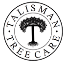 talisman tree care hampshire logo